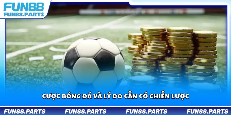 Cược bóng đá và lý do cần có chiến lược
