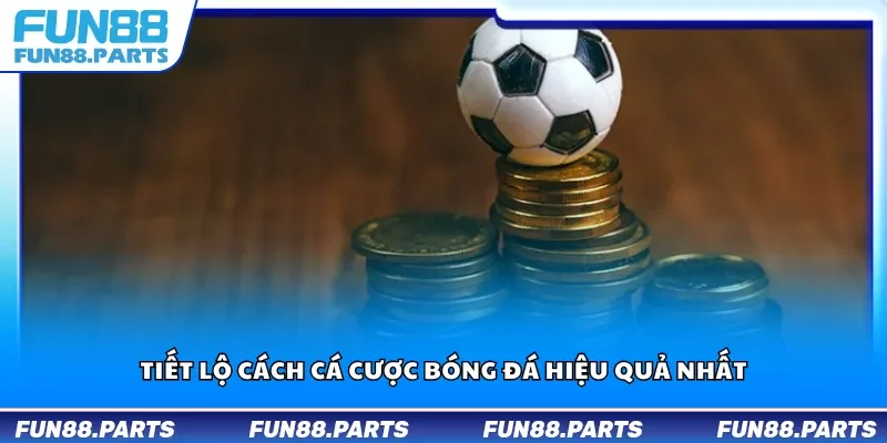 Tiết lộ cách cá cược bóng đá hiệu quả nhất