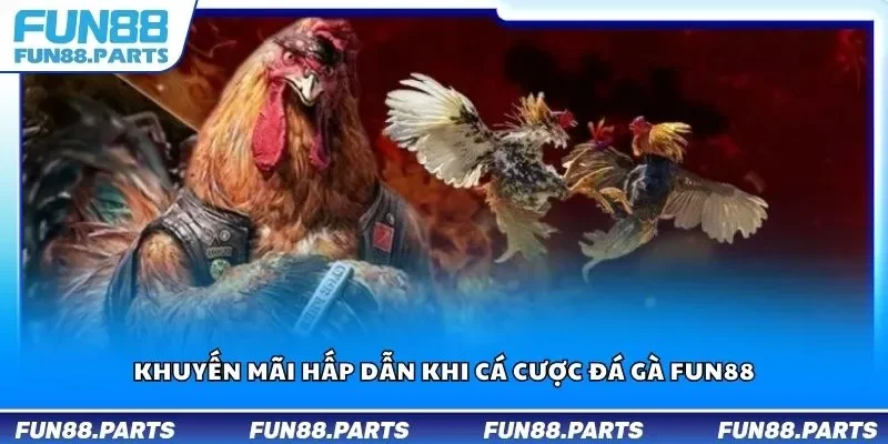 Khuyến mãi hấp dẫn khi cá cược đá gà Fun88