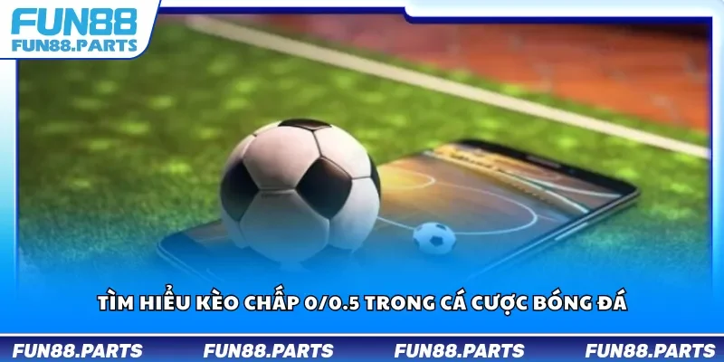 Tìm hiểu kèo chấp 0/0.5 trong cá cược bóng đá