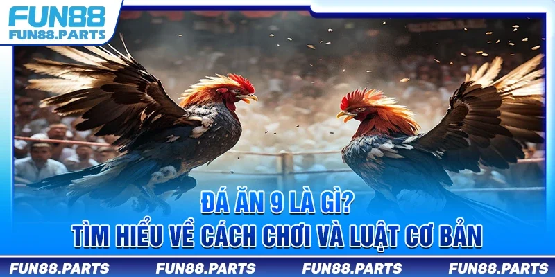 Đá ăn 9 là gì? Tìm hiểu về cách chơi và luật cơ bản