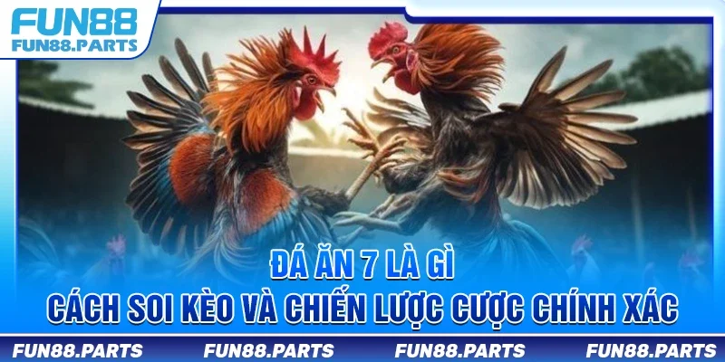 Đá ăn 7 là gì? Cách soi kèo và chiến lược cược chính xác