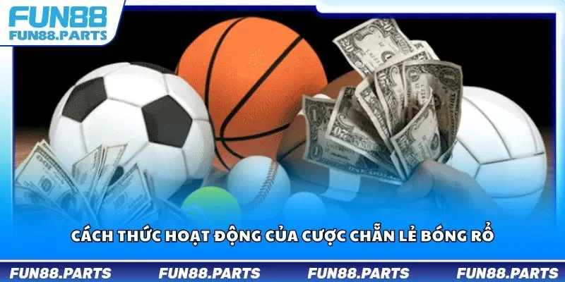 Cách thức hoạt động của cược chẵn lẻ bóng rổ