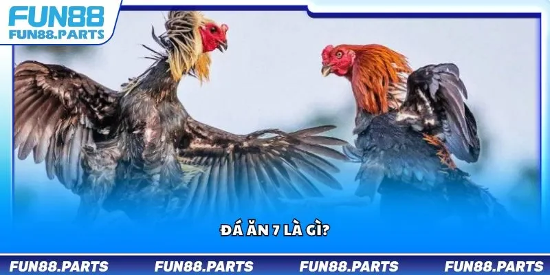 Đá ăn 7 là gì?