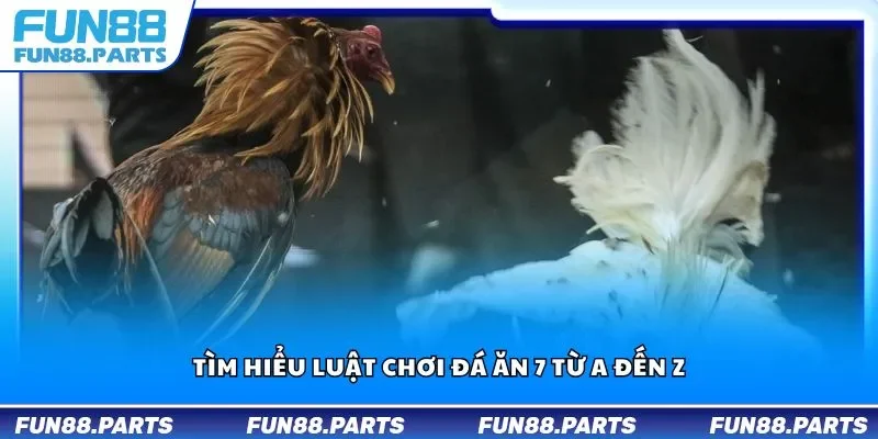 Tìm hiểu luật chơi đá ăn 7 từ A đến Z