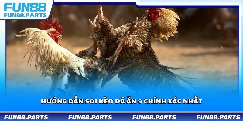 Hướng dẫn soi kèo đá ăn 9 chính xác nhất