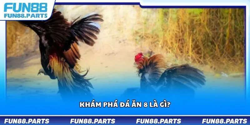 Khám phá đá ăn 8 là gì?