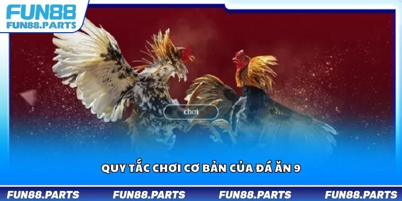 Quy tắc chơi cơ bản của đá ăn 9