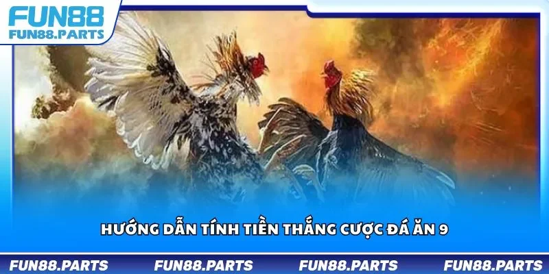 Hướng dẫn tính tiền thắng cược đá ăn 9