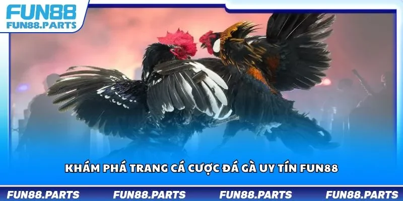 Khám phá trang cá cược đá gà uy tín Fun88